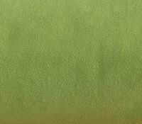 2 x EASY Microfaser Kissenhülle 40x40 (30 grün)